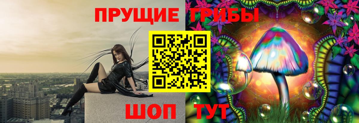 Волоколамск  Псилоцибиновые грибы прущие грибы  Вход с VPN 
